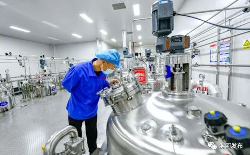 許昌市委書記市長周末帶隊赴漯 聚焦生物科技，推動產業協同發展