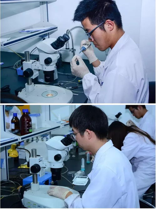 杭州環特生物科技股份有限公司動態 前沿生物科技技術引領行業創新